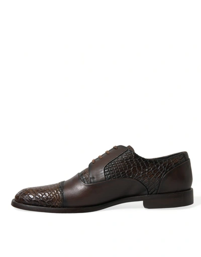 Shop Dolce & Gabbana Elegant Textured Leather Oxford Dress Men's Shoes In Brown