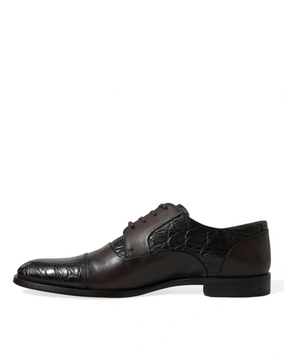 Shop Dolce & Gabbana Elegant Brown Formal Derby Dress Men's Shoes