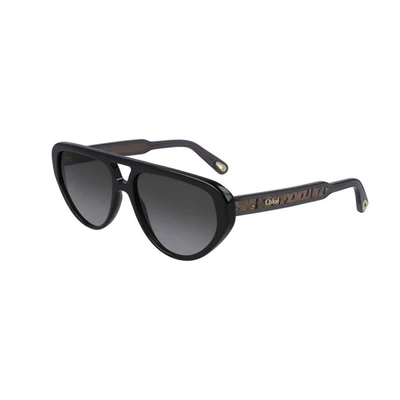 Shop Chloé Ce758s Sunglasses In Black