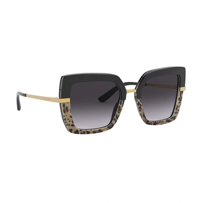 Shop Dolce & Gabbana Dg4373 Sicilian Taste Sunglasses