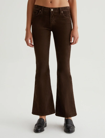 Shop Ag Jeans Angeline In Brown