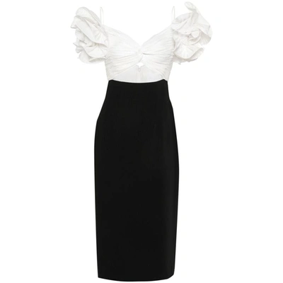 Shop Costarellos Dresses In Black/white
