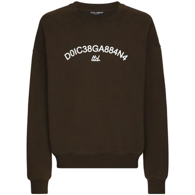 Shop Dolce & Gabbana Sweatshirts In Brown