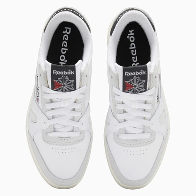 Shop Reebok White Lt Court Sneakers