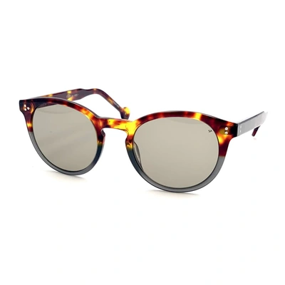 Shop Hally & Son Hs607 Sunglasses In Multicolor