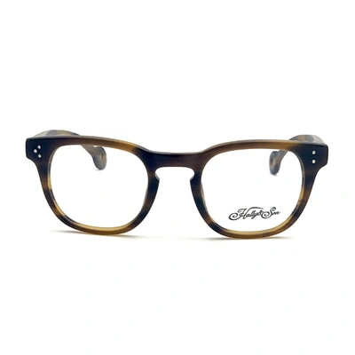 Shop Hally & Son Hs617 Eyeglasses In Brown