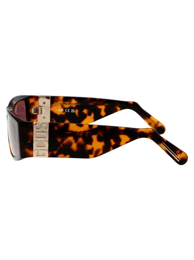 Shop Gcds Sunglasses In 52s Avana Scura/bordeaux