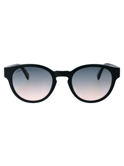 Shop Lacoste Sunglasses In 300 Green