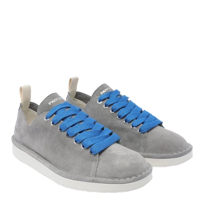 Shop Pànchic Panchic Sneakers In Grigio