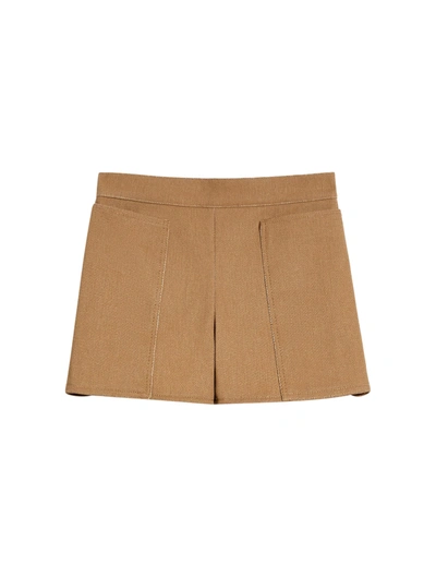 Shop Max Mara Cotton Mini Shorts In Brown
