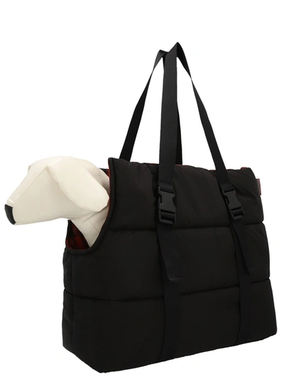 Shop Dsquared2 Animal Carrier Pets Accesories Black