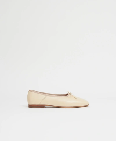 Shop Mansur Gavriel Square Toe Ballerina In Dune