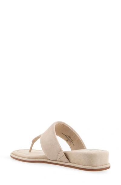 Aerosoles Barry T-strap Sandal In Pale Khaki Suede