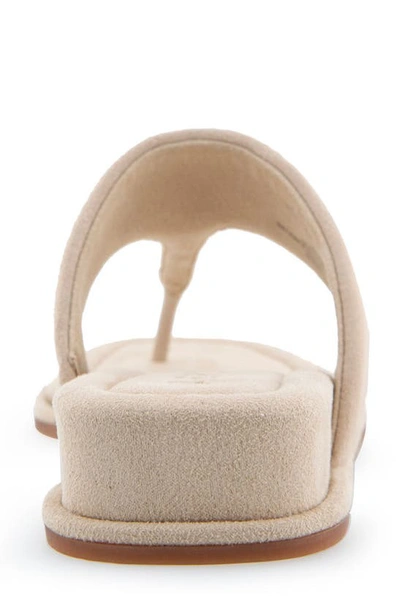 Aerosoles Barry T-strap Sandal In Pale Khaki Suede