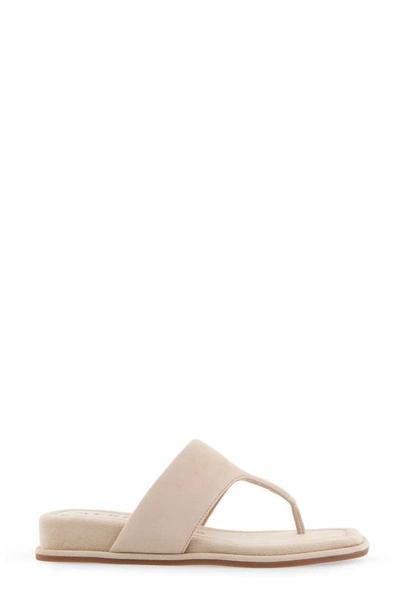 Aerosoles Barry T-strap Sandal In Pale Khaki Suede