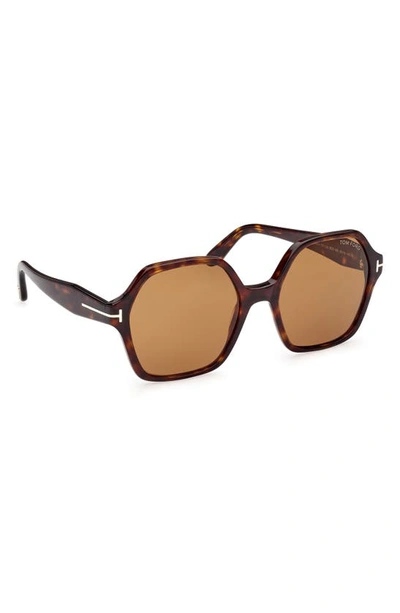 Tom Ford Romy 56mm Polarized Geometric Sunglasses In Shiny Dark Havana / Brown