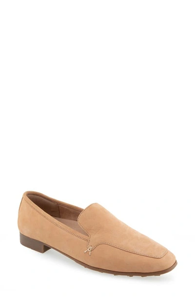 Shop Aerosoles Paynes Loafer In Doe Nubuck