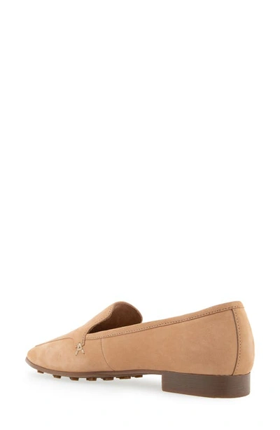 Shop Aerosoles Paynes Loafer In Doe Nubuck