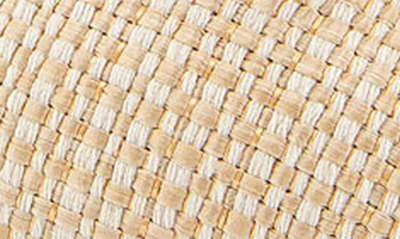 Aerosoles Pia Ballet Flat In Natural Raffia