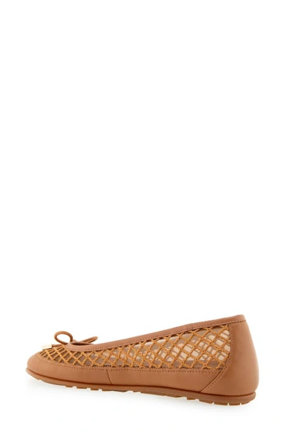 Shop Aerosoles Palma Flat In Tan Mesh