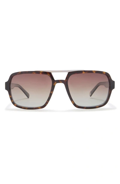 Shop Ted Baker 59mm Polarized Navigator Sunglasses In Tortoise