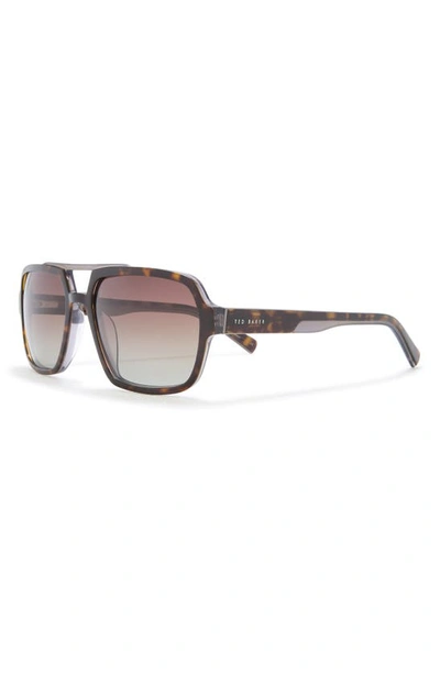 Ted Baker 59mm Polarized Navigator Sunglasses In Tortoise