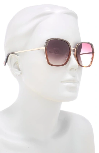 Shop Ted Baker 56mm Square Sunglasses In Amber