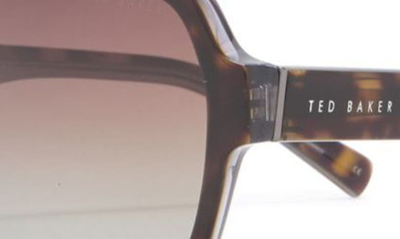 Shop Ted Baker 59mm Polarized Navigator Sunglasses In Tortoise