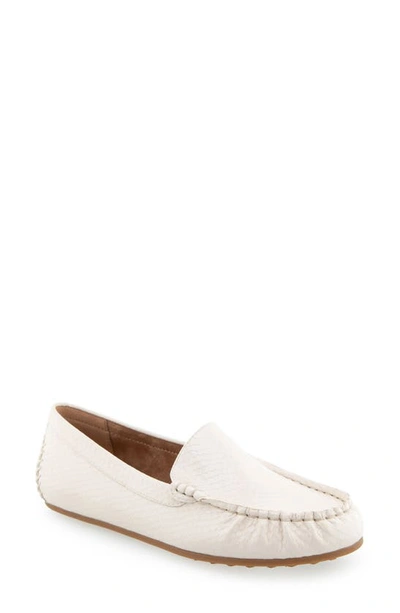 Shop Aerosoles Over Drive Loafer In Eggnog Snake Patent Pu