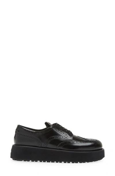 Shop Miu Miu Wingtip Platform Oxford In Black