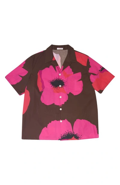 Shop Valentino Floral Print Cotton Camp Shirt In Zvy Tabacco/ Pink Pp