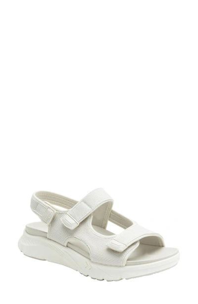 Shop Alegria By Pg Lite Sandie Sandal In Shell