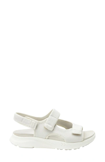 Shop Alegria By Pg Lite Sandie Sandal In Shell