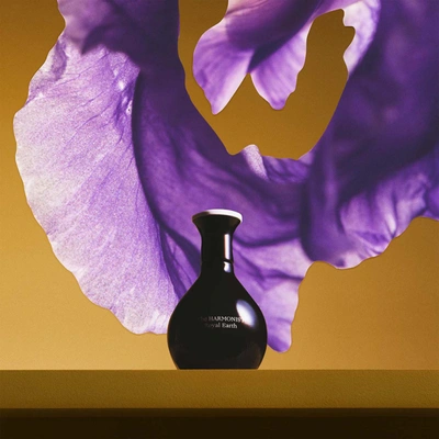 The Harmonist Royal Earth Parfum In Default Title