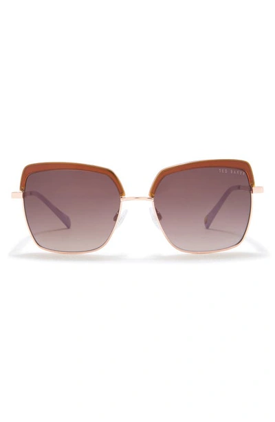 Shop Ted Baker 55mm Square Sunglasses In Honey Tortoise