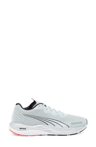 Shop Puma Velocity Nitro™ 2 Running Shoe In Platinum Gray-lime Squeeze