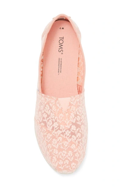 Shop Toms Alpargata Lace Slip-on In Orange