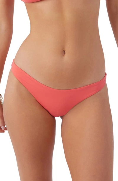 Shop O'neill Rockley Saltwater Solids Bikini Bottoms In Dubarry