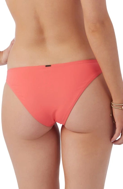 Shop O'neill Rockley Saltwater Solids Bikini Bottoms In Dubarry