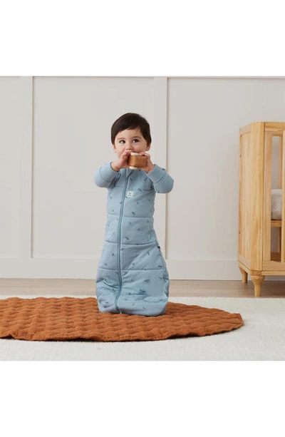 Ergopouch 3.5 Tog Convertible Sleep Suit Bag In Dragonflies