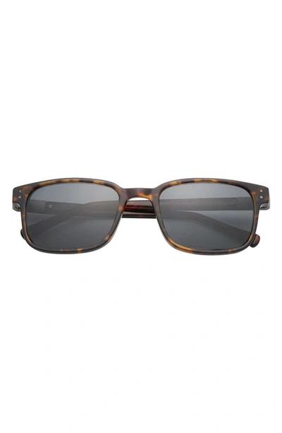 Ted Baker 55mm Polarized Square Sunglasses In Tortoise