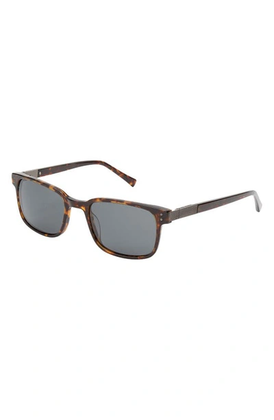 Ted Baker 55mm Polarized Square Sunglasses In Tortoise