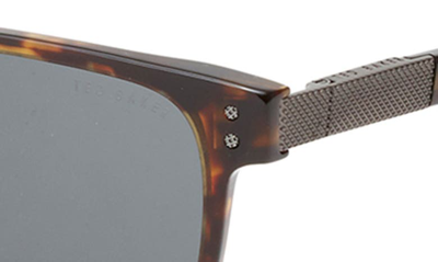 Shop Ted Baker 55mm Polarized Square Sunglasses In Tortoise