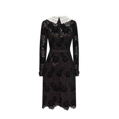 Shop Dolce & Gabbana Lace Dress In Black