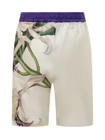 Shop Pierre-louis Mascia Silk Shorts In Bianco Fantasia