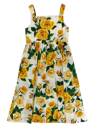 Shop Dolce & Gabbana Floral Printed Dress In Multicolor