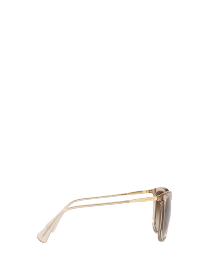 Shop Polo Ralph Lauren Ra5248 Shiny Transparent Brown Sunglasses
