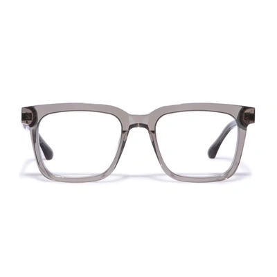 Tree Spectacles Ts-baucis Eyeglasses In 2860 Gray