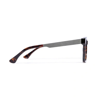 Tree Spectacles Ts-baucis Eyeglasses In 2859 Tartarugato