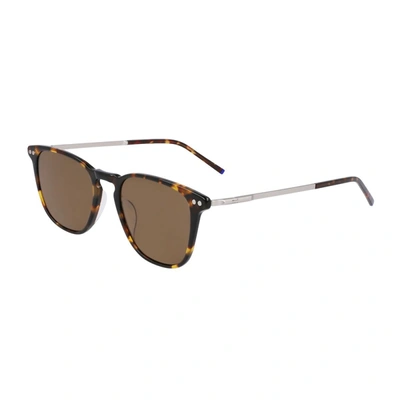 Shop Zeiss Zs22703sp Sunglasses In 242 Tartarugato